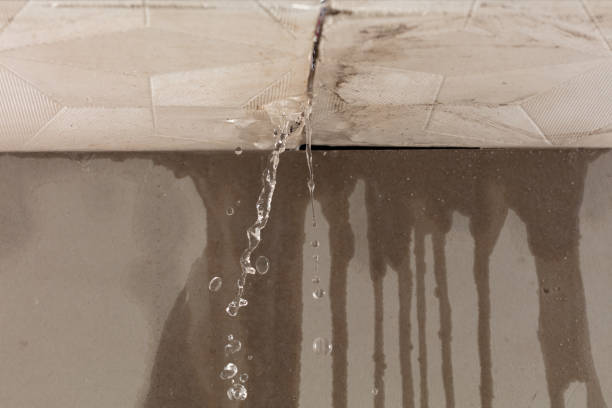 Professional Water Damage Repair technician working in Tallassee, AL